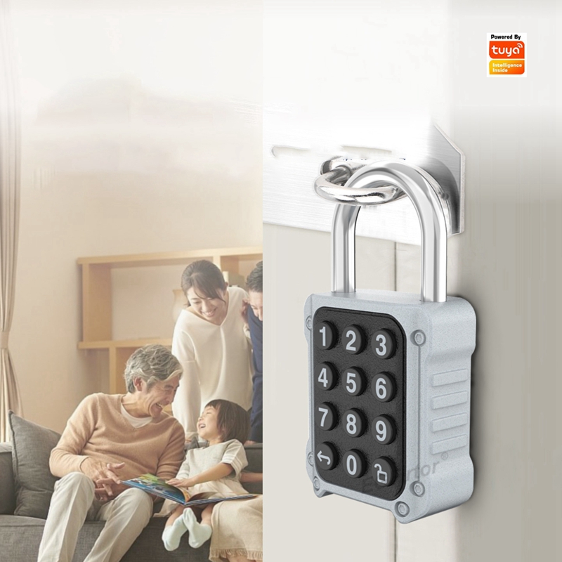 Tuya Bluetooth APP Remote Elec - огляд і ціна Lockbox Key Secure